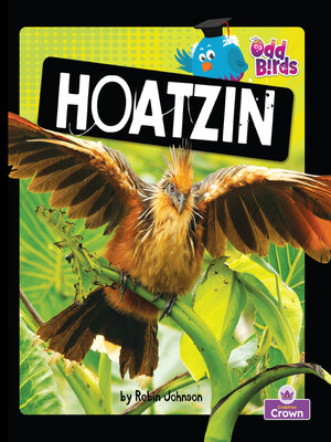 cover image of Hoatzin